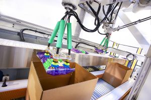 robotic bagged cheese case packing line