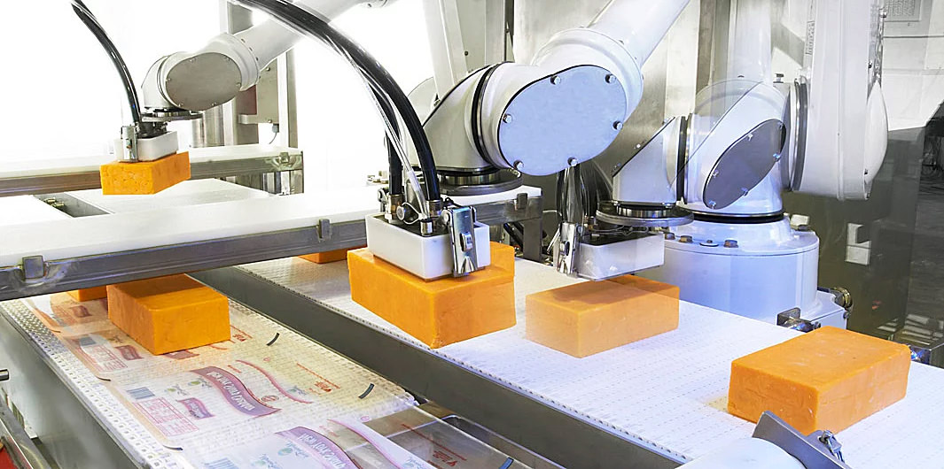 robotic cheese mover line robotic cheese mover line