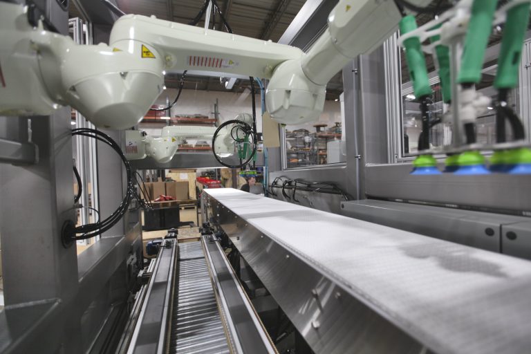 bag cheese case packing machine