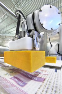 robotic cheese mover conveyor machine