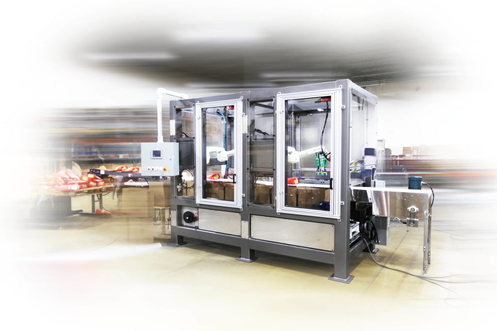 bag cheese case packing machine