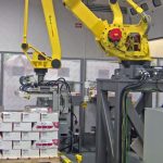 case-tray-palletizer-5