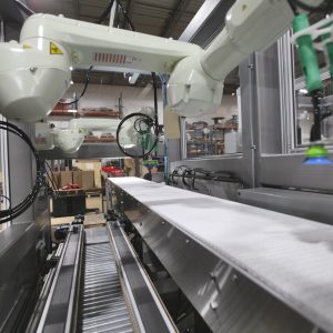 bag cheese case packing machine