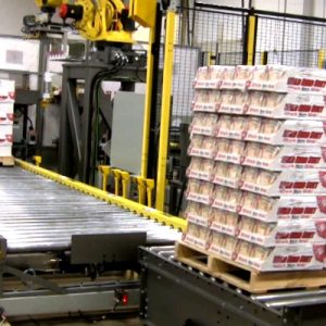 Robot-Case-&-Tray-Palletizing2